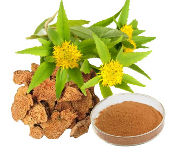 Methodic Wellness